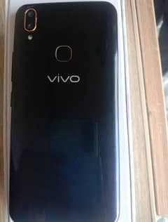 vivo