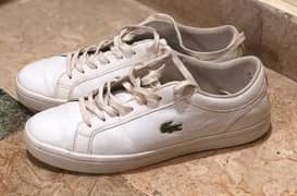 Lacoste white sneakers in clean condition