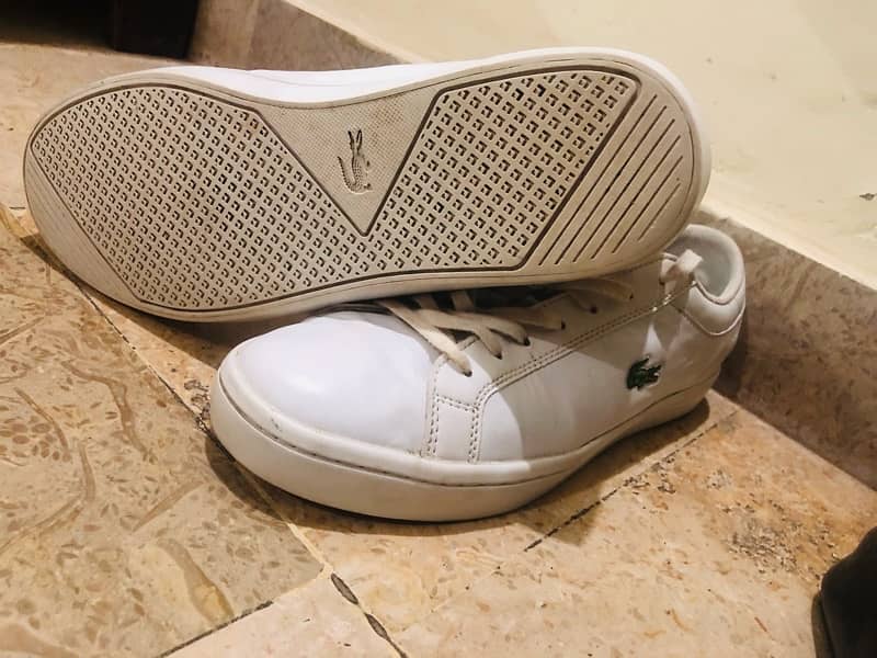 Lacoste white sneakers in clean condition 1