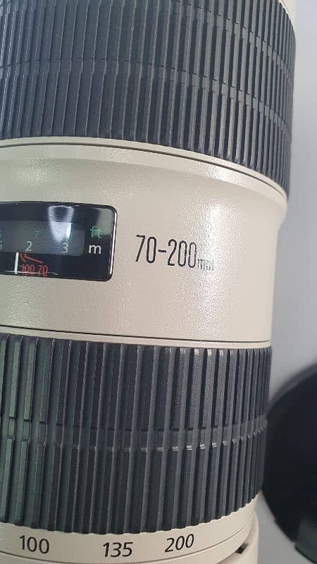 Canon 70 200 2.8 is ii 2