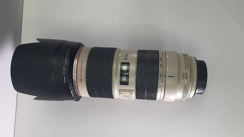 Canon 70 200 2.8 is ii 12