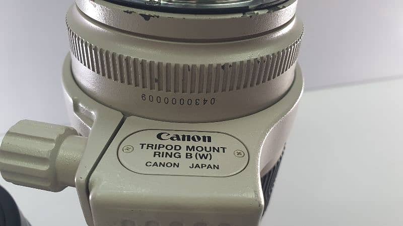 Canon 70 200 2.8 is ii 16