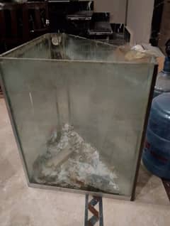 fish aquarium in large size condition is 10 by 3