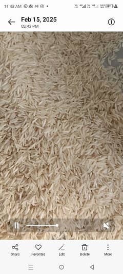 Kainat 1121 Basmati (steam) Head Rice