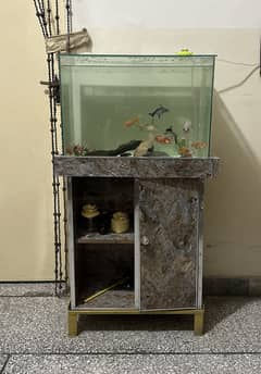 Fish Aquarium (complete setup)