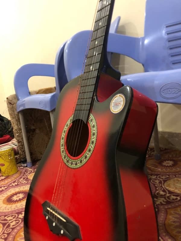 guitar irani brand 0