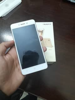 Oppo A37fw (2GB/16GB) | With Box | Excellent Condition | Best Price 