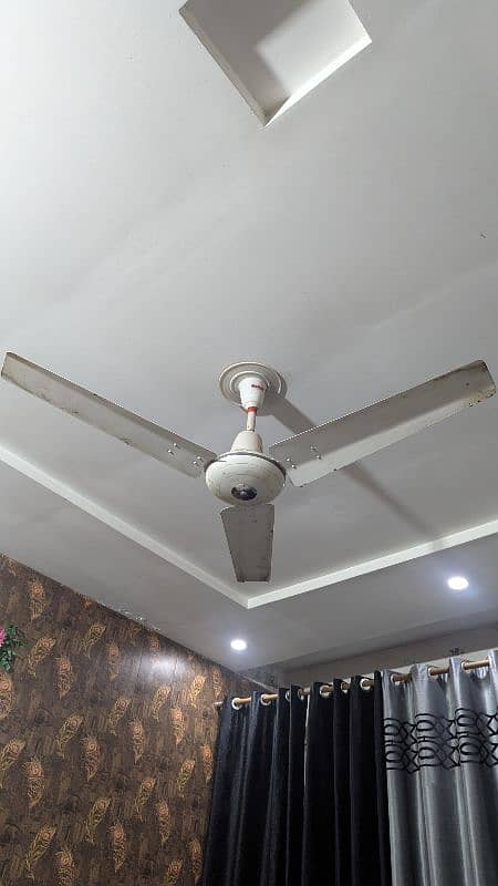 5 ceiling fans for sale,, Perfect condition 0