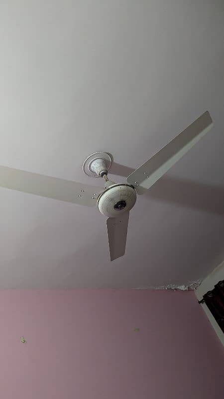 5 ceiling fans for sale,, Perfect condition 1