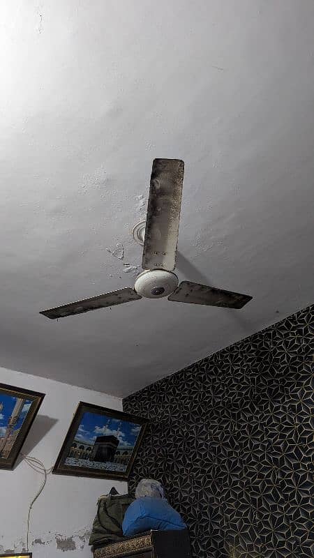 5 ceiling fans for sale,, Perfect condition 3