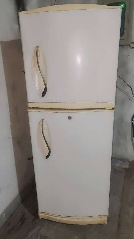 Medium Size Fridge 0