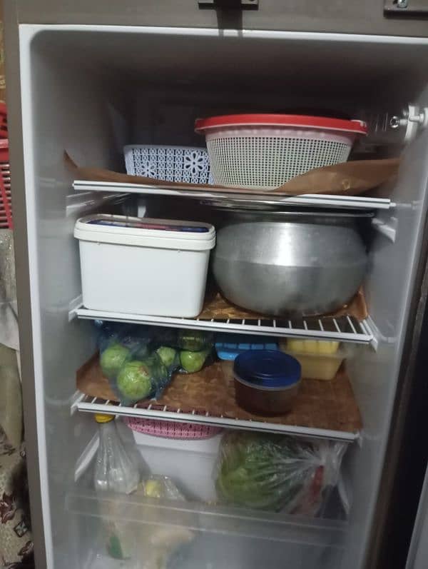 PEL Refrigerator 2