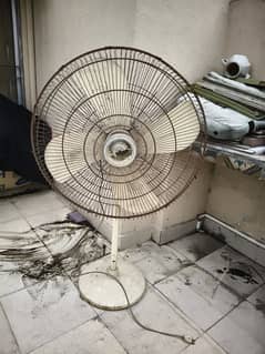 big fan