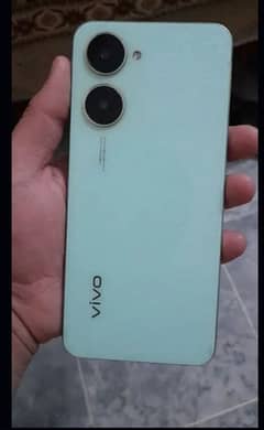 vivo