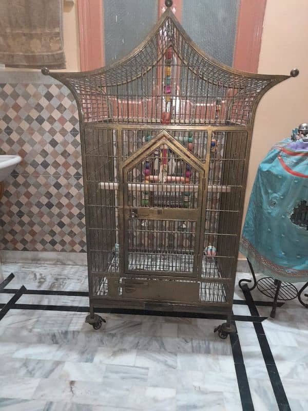 Beautiful & Attractive Cage for exotic parrots 0