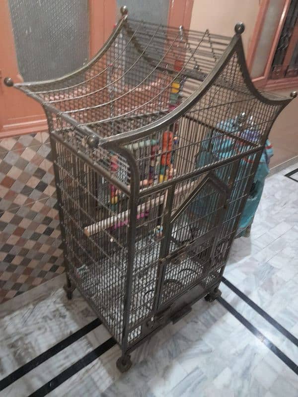 Beautiful & Attractive Cage for exotic parrots 1