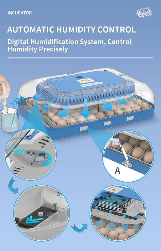 Fully Auto 70 Eggs high quality incubator Parrots/Shamo/Parrot beak 16