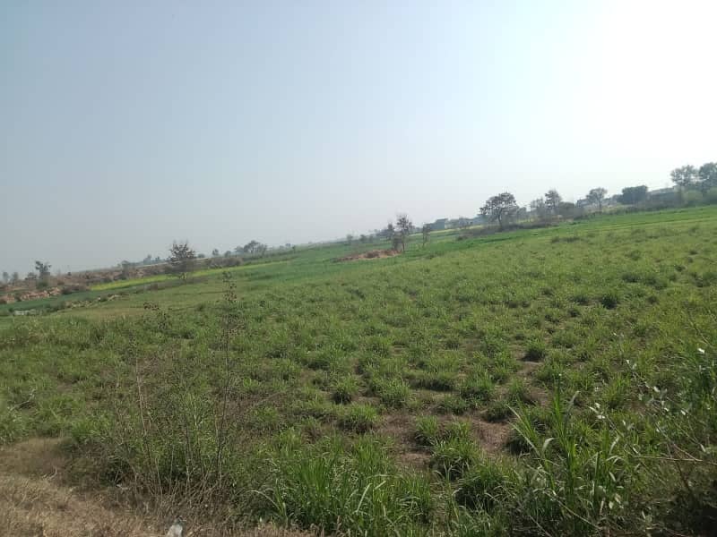 Aimnaabad road near women university Ladhar chowk 0