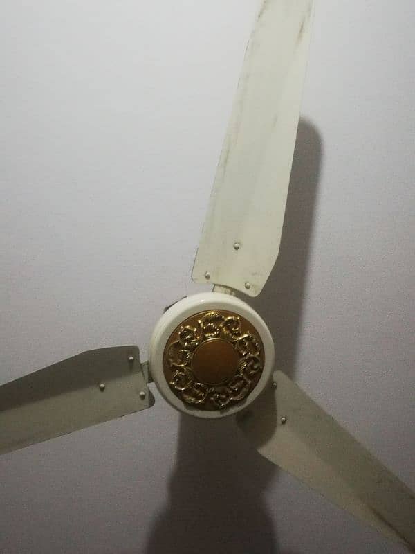 ceiling fan cream color 2