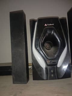 audionak speaker