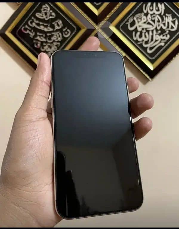 iPhone 11 pro factory unlocke only panel change hoga 1