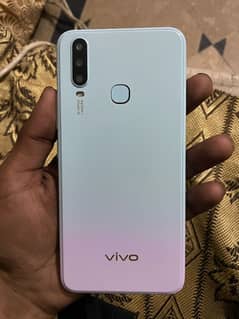 vivo