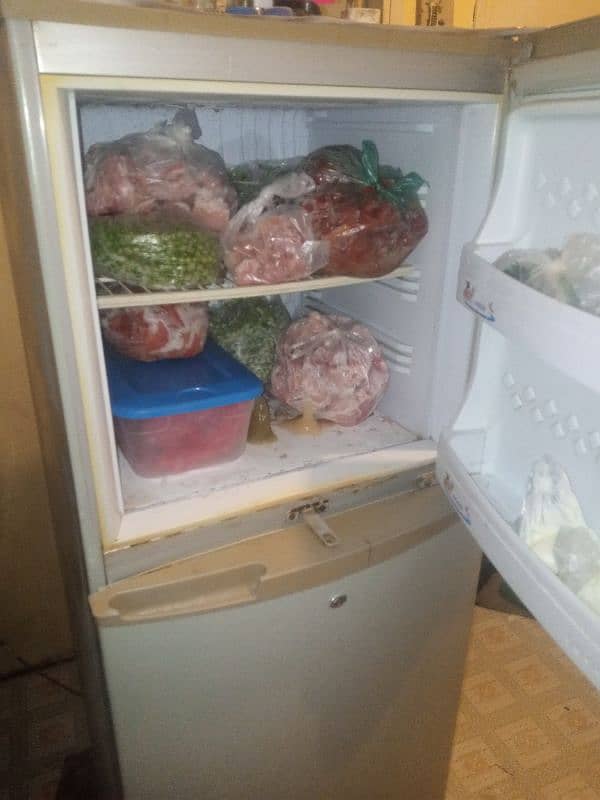 PEL refrigerator 3