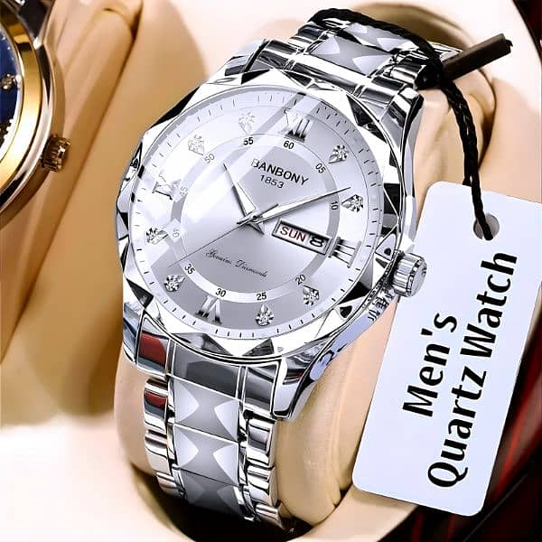 Luxury Men's Stainless Steel Quartz Watch 2