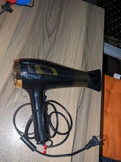 Hair dryer