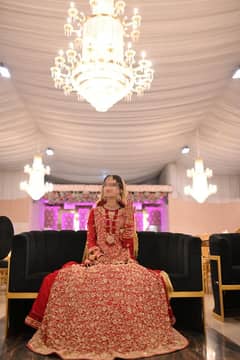 barat sharara/ wedding sharara / wedding lehnga