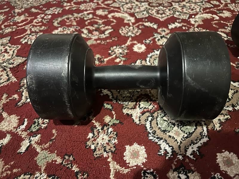 5kg Dumbells 2