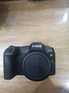 Canon R8