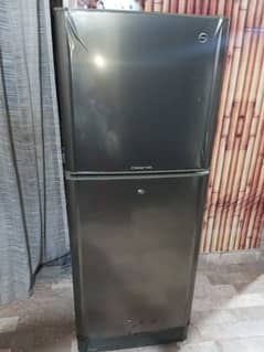 PEL medium sized fridge