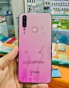 Vivo