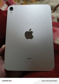 Ipad Mini 6 Golden Color 64 Gb