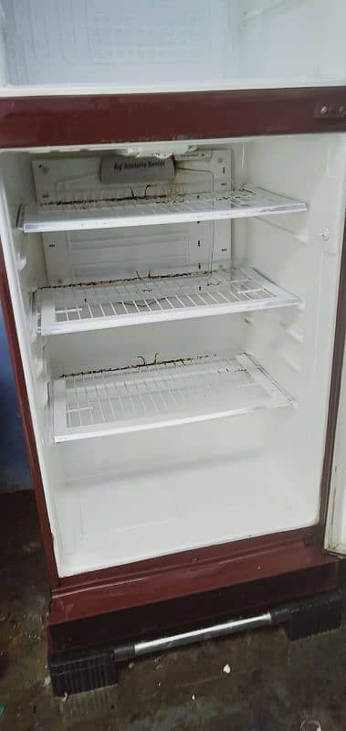 PEL refrigerator 3