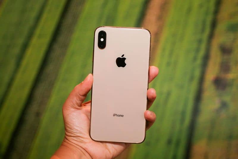 Xs max pta official Approved  03333519772 1