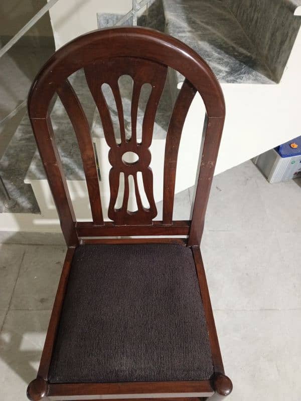 100% Shesham Wooden Chairs, Rs 55000 0