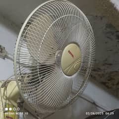 Royal fan Excellent condition