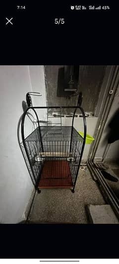 cage for parrot