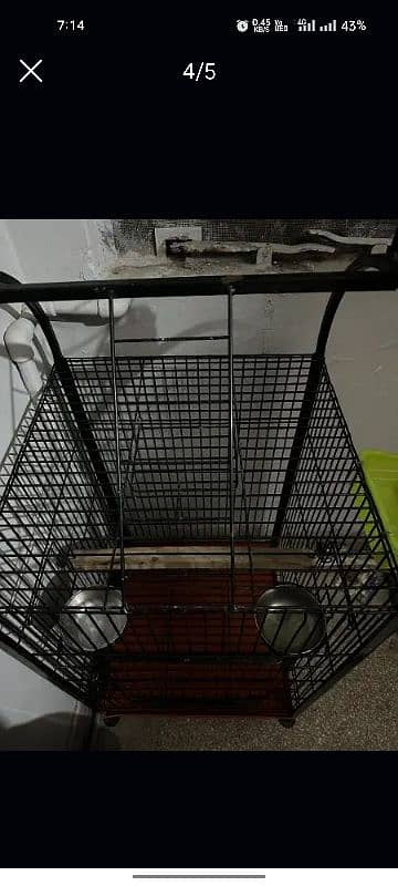 cage for parrot 1