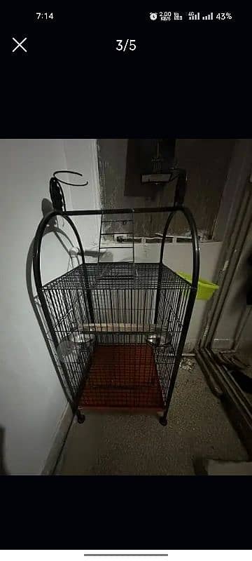 cage for parrot 2