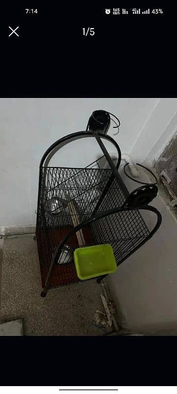 cage for parrot 3