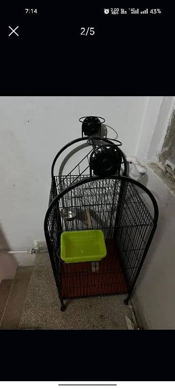 cage for parrot 4