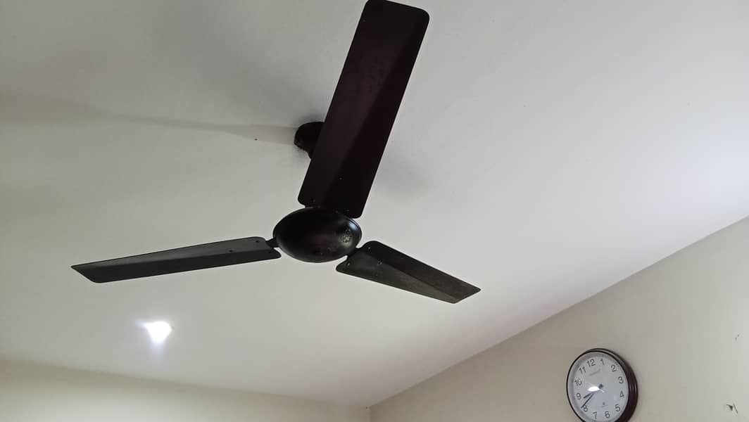 Urgent sale celling fan 1