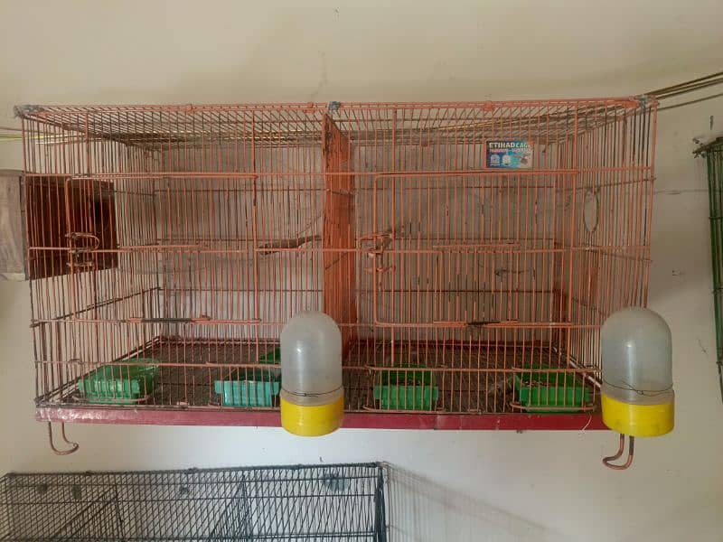 Birds cages for sale 3