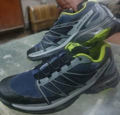 Salomon Wings Pro 2