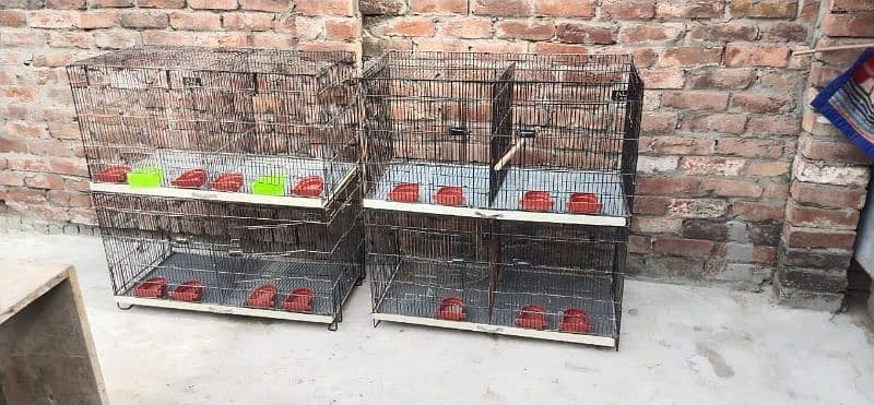 Cage for sale two month use Sirf 0