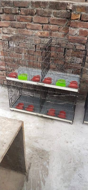 Cage for sale two month use Sirf 2