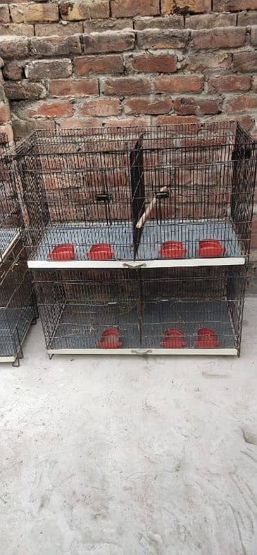 Cage for sale two month use Sirf 3